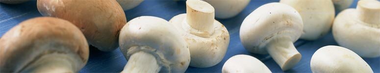 mixed-white_01.jpg